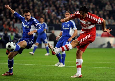 蓬勃发展和 蓬勃发展和